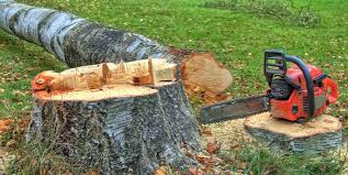 Trusted Hamilton, AL Tree Removal Experts
